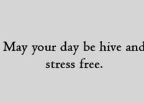 May your day be hive and stress free.